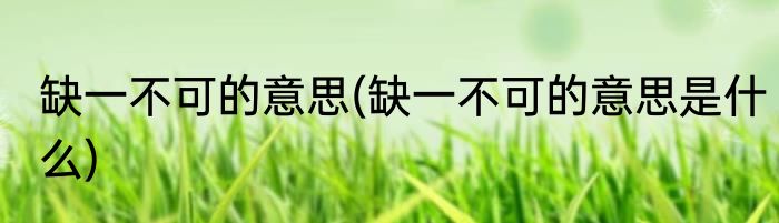 缺一不可的意思(缺一不可的意思是什么)