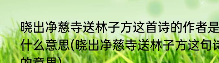 晓出净慈寺送林子方这首诗的作者是什么意思(晓出净慈寺送林子方这句诗的意思)