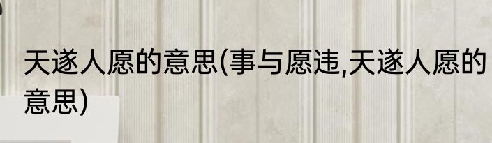 天遂人愿的意思(事与愿违,天遂人愿的意思)