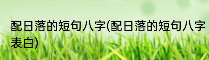 配日落的短句八字(配日落的短句八字表白)