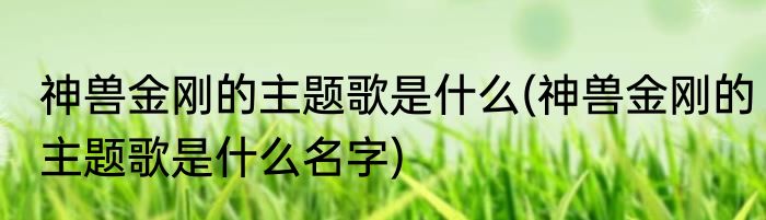 神兽金刚的主题歌是什么(神兽金刚的主题歌是什么名字)