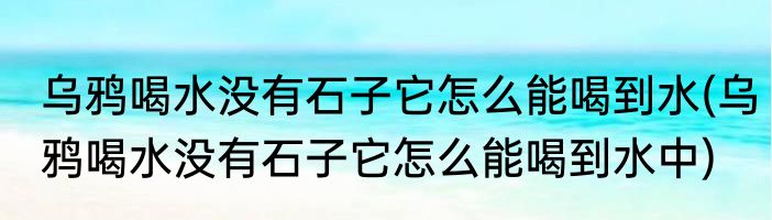 乌鸦喝水没有石子它怎么能喝到水(乌鸦喝水没有石子它怎么能喝到水中)