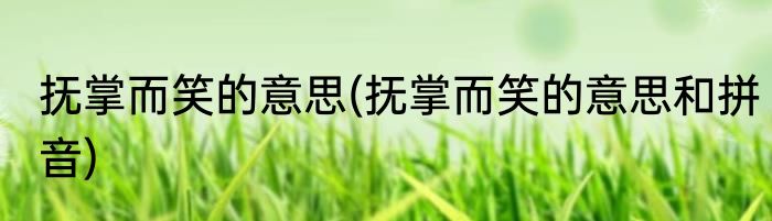 抚掌而笑的意思(抚掌而笑的意思和拼音)