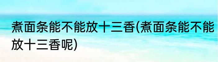 煮面条能不能放十三香(煮面条能不能放十三香呢)