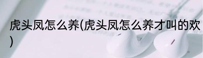 虎头凤怎么养(虎头凤怎么养才叫的欢)