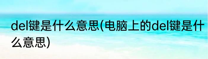 del键是什么意思(电脑上的del键是什么意思)