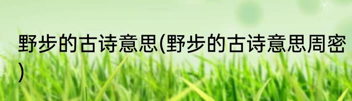 野步的古诗意思(野步的古诗意思周密)