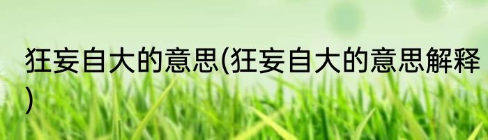 狂妄自大的意思(狂妄自大的意思解释)