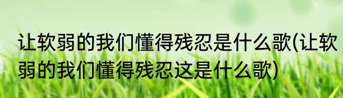 让软弱的我们懂得残忍是什么歌(让软弱的我们懂得残忍这是什么歌)