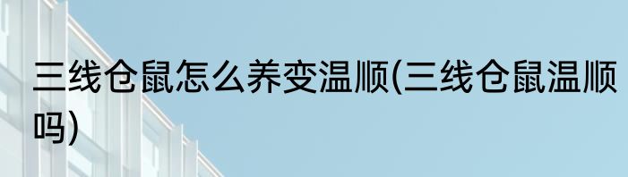 三线仓鼠怎么养变温顺(三线仓鼠温顺吗)