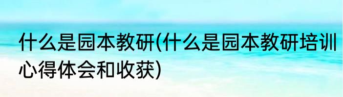 什么是园本教研(什么是园本教研培训心得体会和收获)
