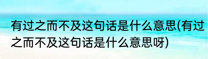 有过之而不及这句话是什么意思(有过之而不及这句话是什么意思呀)