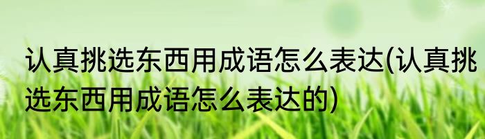 认真挑选东西用成语怎么表达(认真挑选东西用成语怎么表达的)
