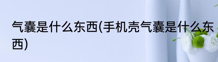 气囊是什么东西(手机壳气囊是什么东西)