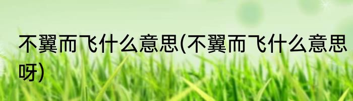不翼而飞什么意思(不翼而飞什么意思呀)