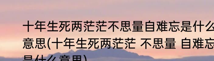 十年生死两茫茫不思量自难忘是什么意思(十年生死两茫茫 不思量 自难忘是什么意思)