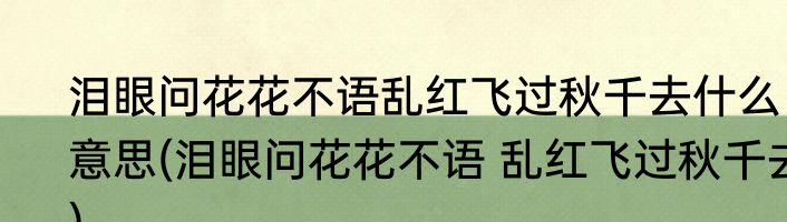泪眼问花花不语乱红飞过秋千去什么意思(泪眼问花花不语 乱红飞过秋千去)