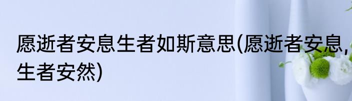 愿逝者安息生者如斯意思(愿逝者安息,生者安然)