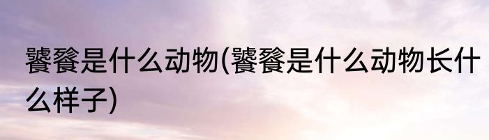 饕餮是什么动物(饕餮是什么动物长什么样子)