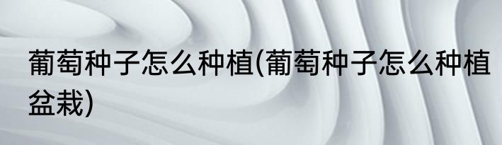 葡萄种子怎么种植(葡萄种子怎么种植盆栽)