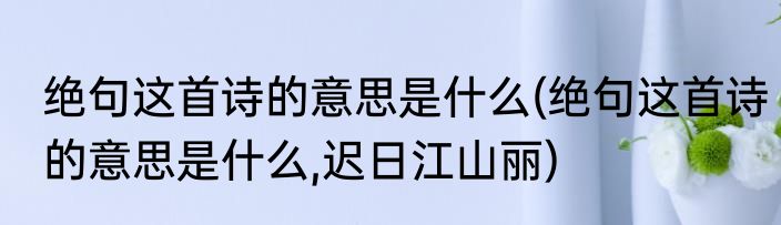 绝句这首诗的意思是什么(绝句这首诗的意思是什么,迟日江山丽)