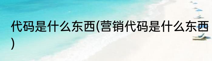 代码是什么东西(营销代码是什么东西)