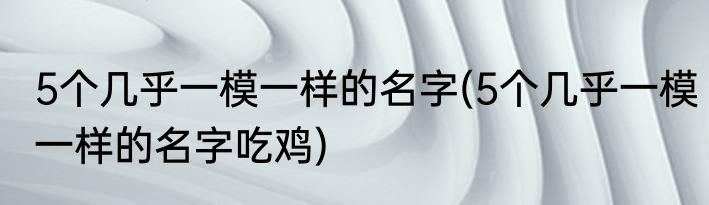 5个几乎一模一样的名字(5个几乎一模一样的名字吃鸡)