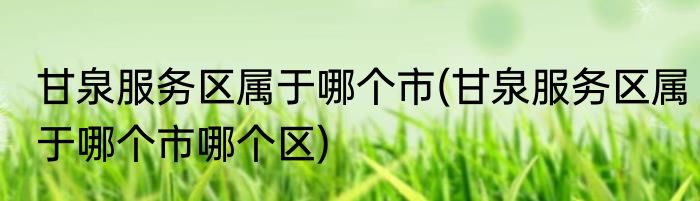 甘泉服务区属于哪个市(甘泉服务区属于哪个市哪个区)