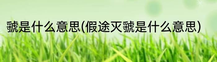 虢是什么意思(假途灭虢是什么意思)