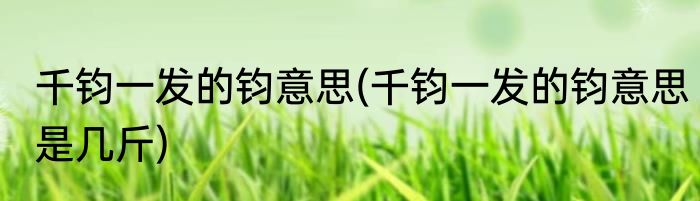 千钧一发的钧意思(千钧一发的钧意思是几斤)