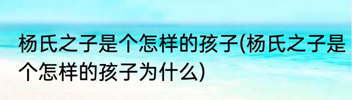 杨氏之子是个怎样的孩子(杨氏之子是个怎样的孩子为什么)