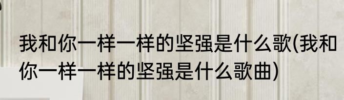 我和你一样一样的坚强是什么歌(我和你一样一样的坚强是什么歌曲)