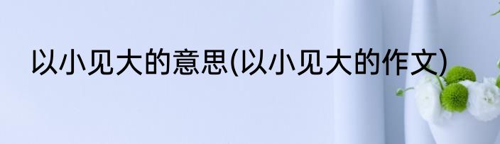 以小见大的意思(以小见大的作文)