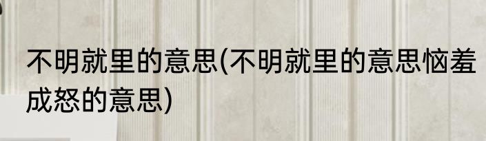 不明就里的意思(不明就里的意思恼羞成怒的意思)