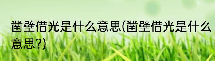 凿壁借光是什么意思(凿壁借光是什么意思?)