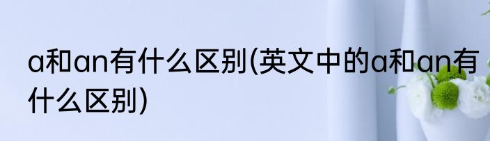 a和an有什么区别(英文中的a和an有什么区别)