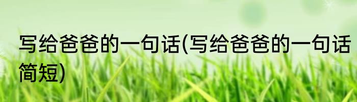 写给爸爸的一句话(写给爸爸的一句话简短)