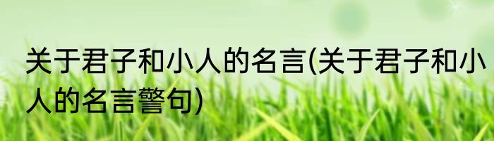 关于君子和小人的名言(关于君子和小人的名言警句)