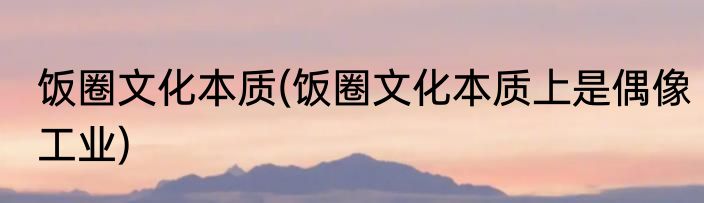 饭圈文化本质(饭圈文化本质上是偶像工业)