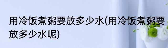 用冷饭煮粥要放多少水(用冷饭煮粥要放多少水呢)