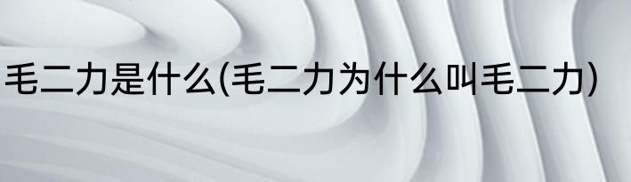 毛二力是什么(毛二力为什么叫毛二力)