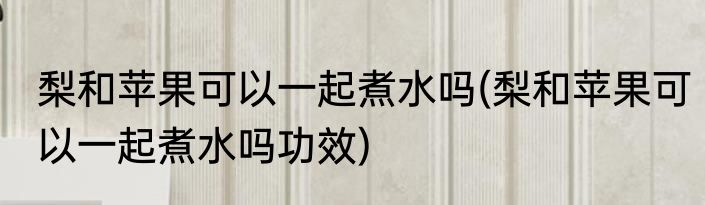 梨和苹果可以一起煮水吗(梨和苹果可以一起煮水吗功效)