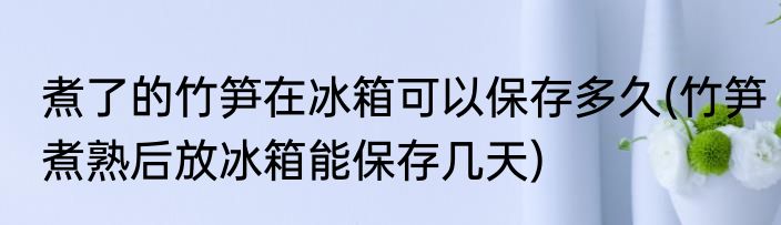 煮了的竹笋在冰箱可以保存多久(竹笋煮熟后放冰箱能保存几天)