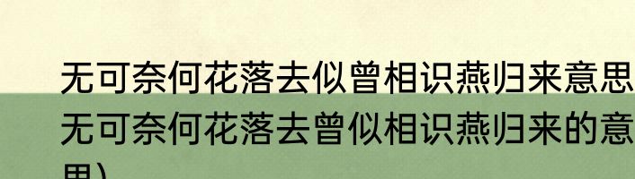 无可奈何花落去似曾相识燕归来意思(无可奈何花落去曾似相识燕归来的意思)
