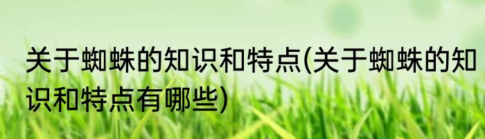 关于蜘蛛的知识和特点(关于蜘蛛的知识和特点有哪些)