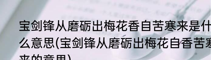 宝剑锋从磨砺出梅花香自苦寒来是什么意思(宝剑锋从磨砺出梅花自香苦寒来的意思)