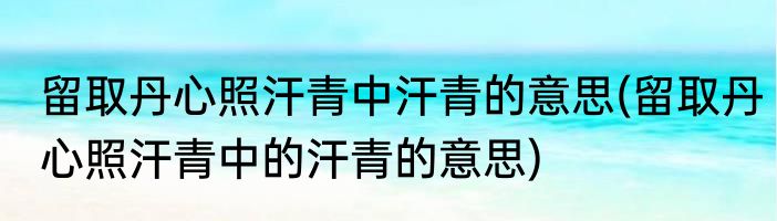 留取丹心照汗青中汗青的意思(留取丹心照汗青中的汗青的意思)