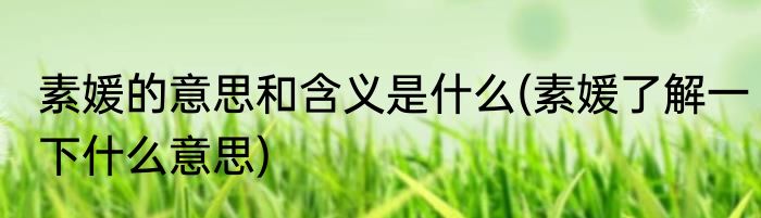 素媛的意思和含义是什么(素媛了解一下什么意思)