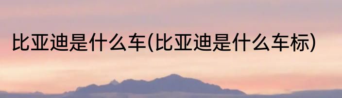 比亚迪是什么车(比亚迪是什么车标)