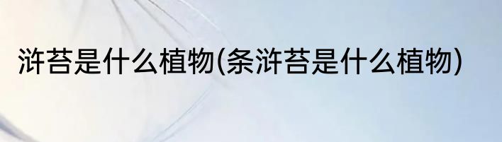 浒苔是什么植物(条浒苔是什么植物)